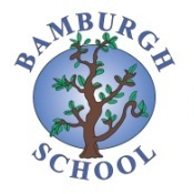 Bamburgh School Logo